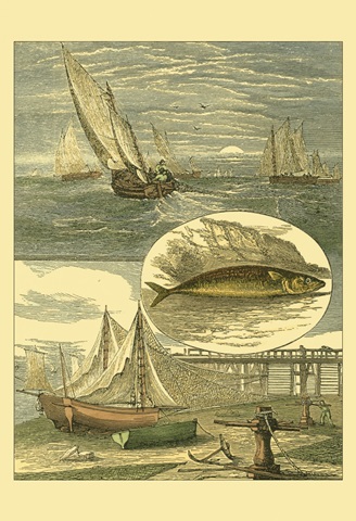 Fisherman's Vignette IV