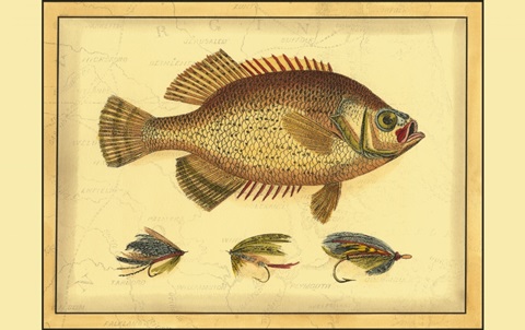 Printed Doug's Crappie