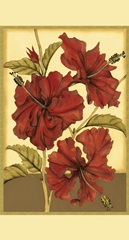 Printed Sophisticated Hibiscus I