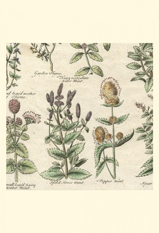 Small Delicate Garden IV