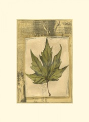 Small Spring Foliage I