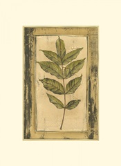 Small Spring Foliage IV