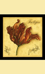 Tempting Tulips I