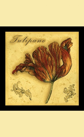 Tempting Tulips II