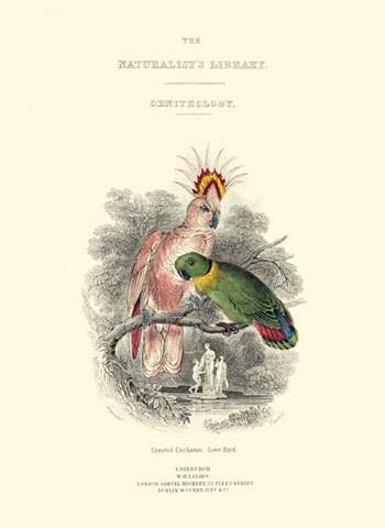 The Naturalist's Library II