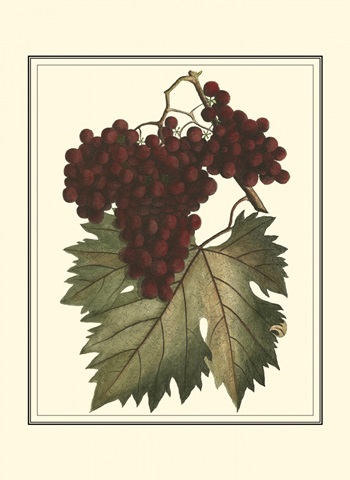 Vintner's Varieties III