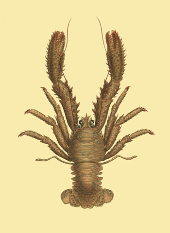 Antique Lobster II