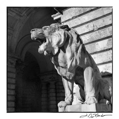 Architecture Detail VI Budapest