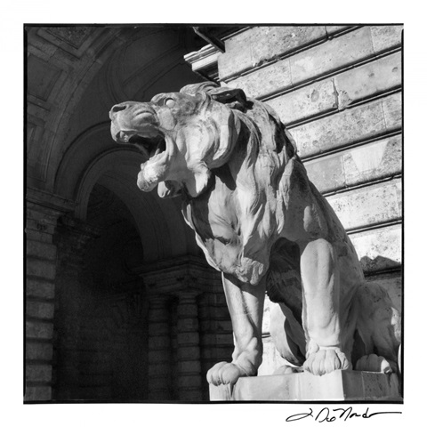 Architecture Detail VI Budapest