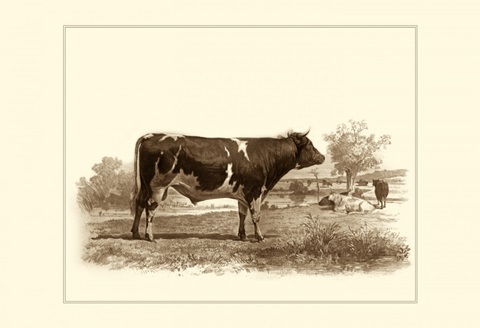 Bovine IV
