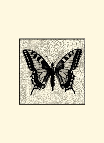 Classical Butterfly I