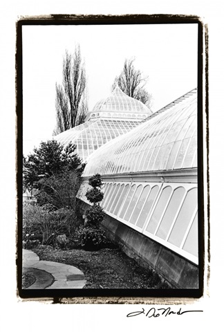 Conservatory IV