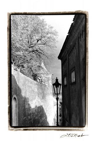 Glimpses of Prague II