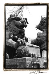 Imperial Lion, Beijing