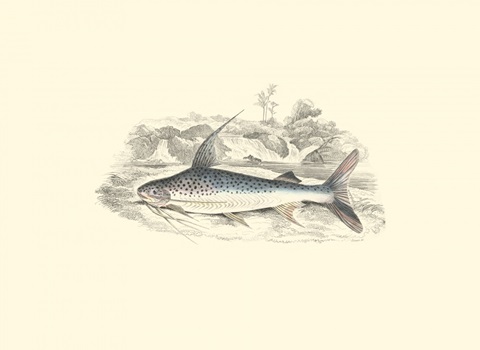 Lizars' Game Fish IV