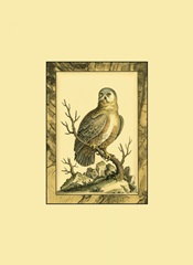 Mini Majestic Perch I