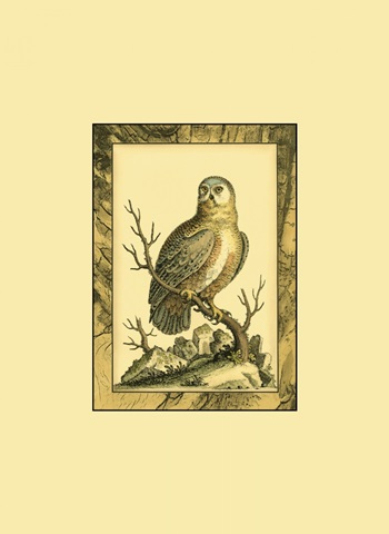 Mini Majestic Perch I