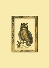 Mini Majestic Perch II