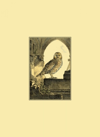 Mini Night Guardian IV