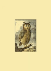 Mini Night Guardian V