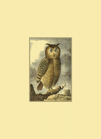 Mini Night Guardian V