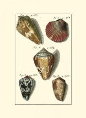 Neptune's Treasure I