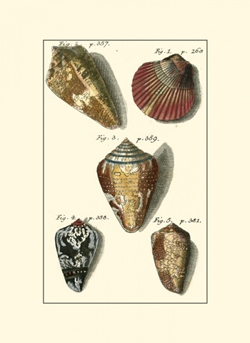 Neptune's Treasure I