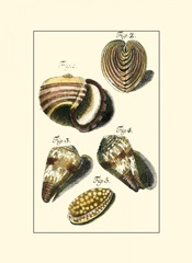 Neptune's Treasure II