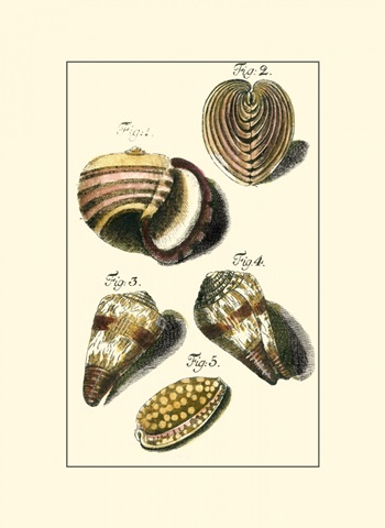 Neptune's Treasure II