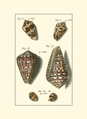 Neptune's Treasure III