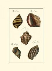 Neptune's Treasure IV