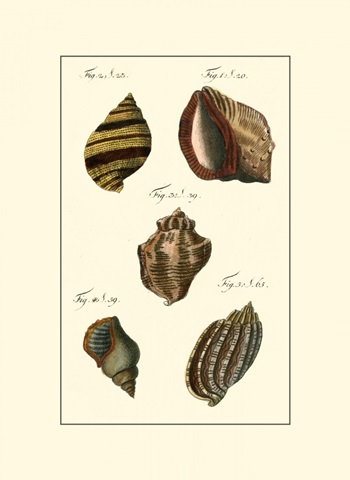 Neptune's Treasure IV