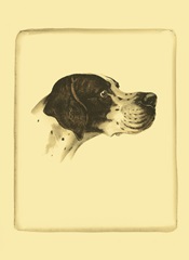 Printed Danchin Pointer