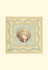 Shell Collector IV