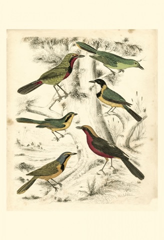 Small Avian Habitat III