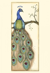 Small Rebecca's Peacock I