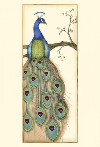 Small Rebecca's Peacock I