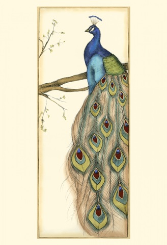 Small Rebecca's Peacock II