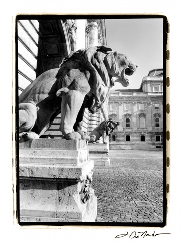 Standing Guard, Royal Palace