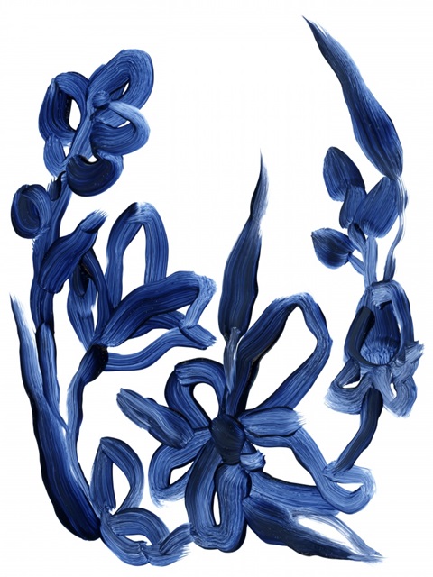 Indigo Brush Blooms II