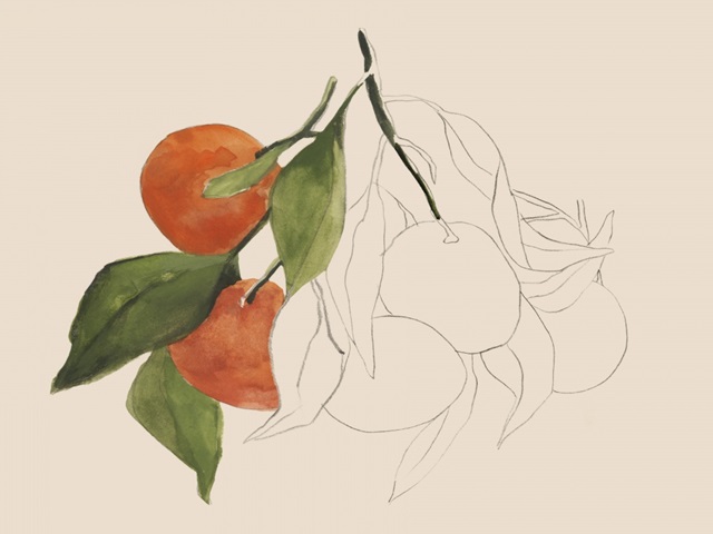 Tangerine Sketch II