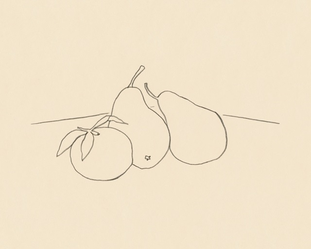 Fruit Line Drawing IV