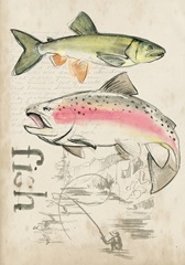 Trout Journal Collection B