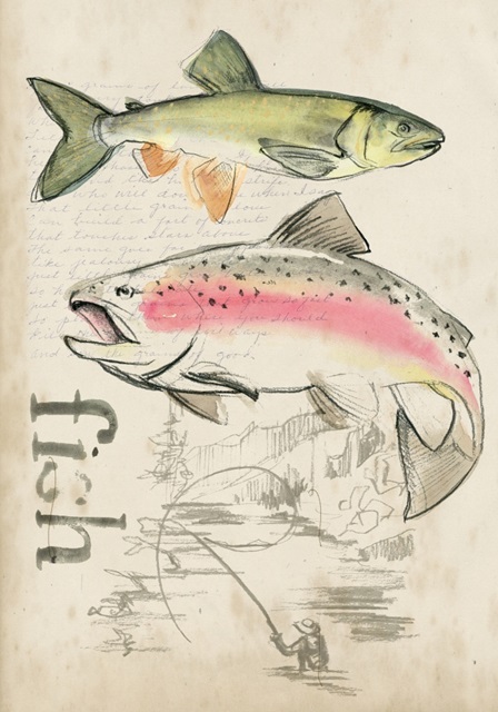 Trout Journal Collection B