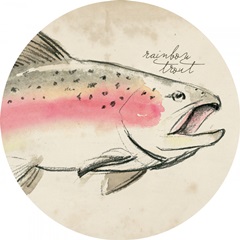 Trout Journal Collection C