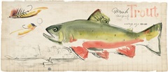 Trout Journal Collection D