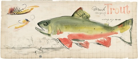 Trout Journal Collection D