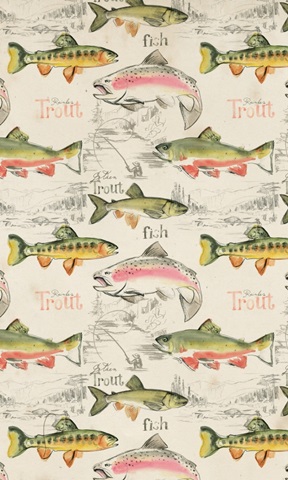 Trout Journal Collection E