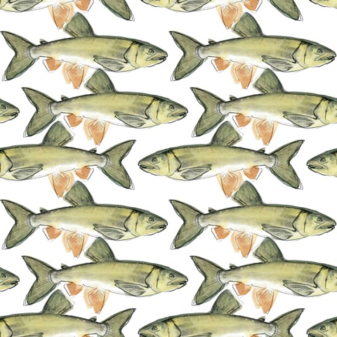 Trout Journal Collection F