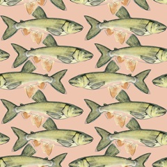 Trout Journal Collection G